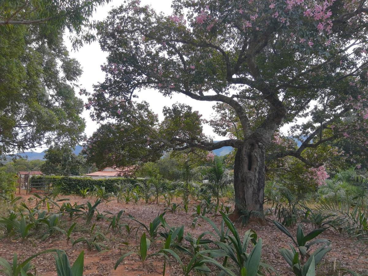 Chale Veredas E Buritis Pirenópolis Kültér fotó