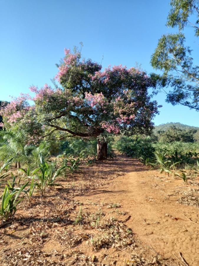 Chale Veredas E Buritis Pirenópolis Kültér fotó